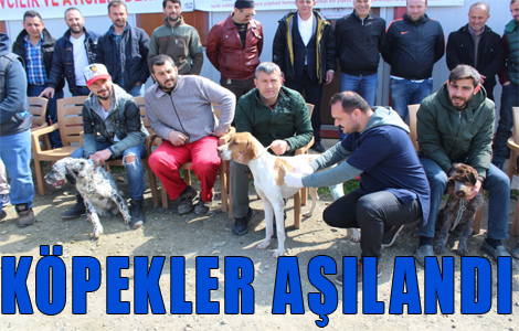 Kpekler Aland

