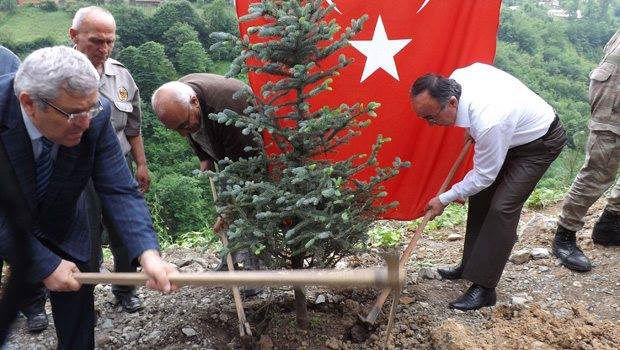 Maka'da, ehit Halit Avc iin hatra orman kuruldu
