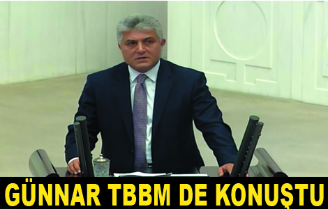 Milletvekili Adnan Gnnar,TBMMde sz ald.
