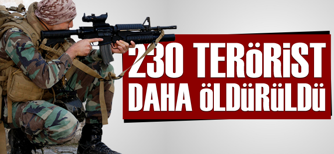 ldrlen Terrist Says 230'a Ykseldi
