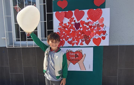 ORGAN BAIININ NEM ANLATILIYOR