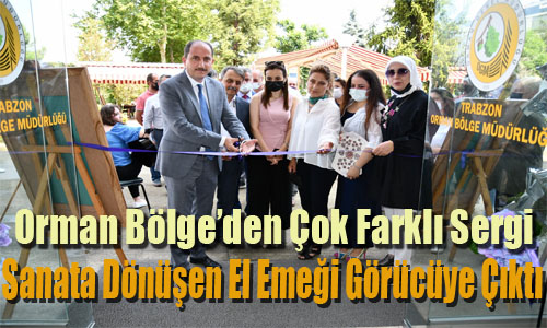 ORMAN BLGE DE OK RENKL SERG
