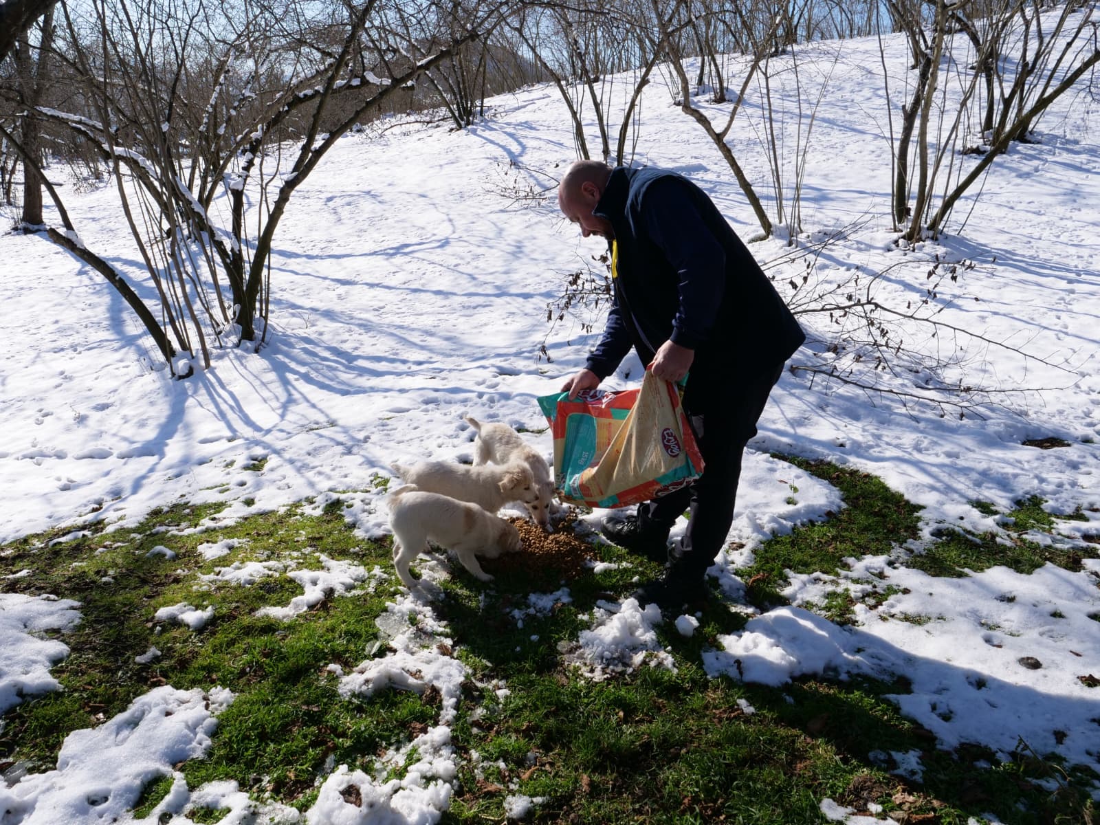 ORTAH�SAR BELED�YES�, SO�UK KI� G�NLER�NDE SOKAK HAYVANLARINI UNUTMADI
