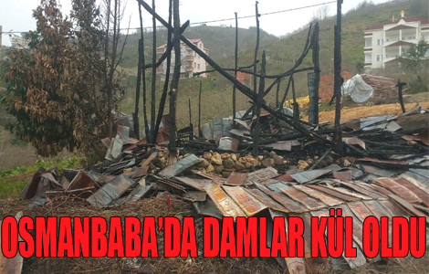 Osmanbabada Neler Oluyor.

