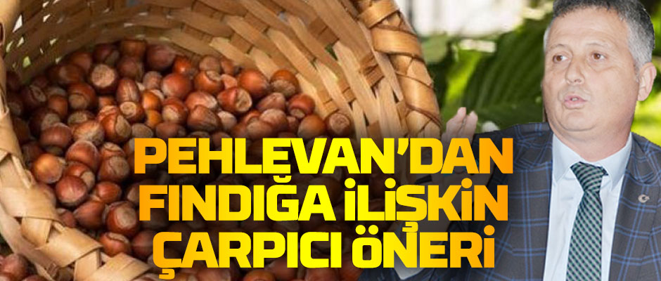 PEHLEVAN'DAN FINDIA LKN ARPICI NER 