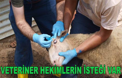 Salk alan Olarak Kabul Edilmek istiyorlar.