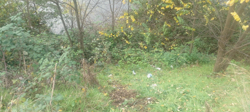 SERA GÖLÜNE KİM SAHİP ÇIKACAK