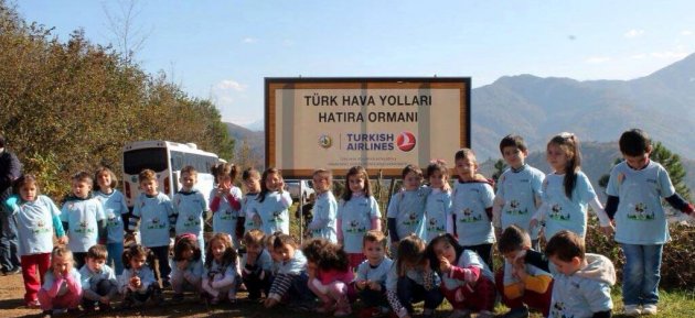THY'den Srmene'ye hatra orman
