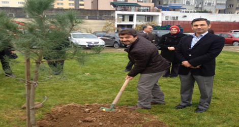 Trabzon'da 'Ak Kadnlar Orman' Kuruldu