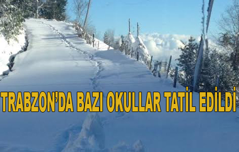 Trabzon'da Baz okullara kar tatili!