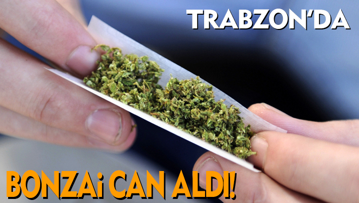 Trabzon'da Bonzai Can Ald
