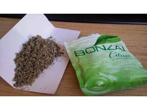 Trabzon'da Bonzai Deheti