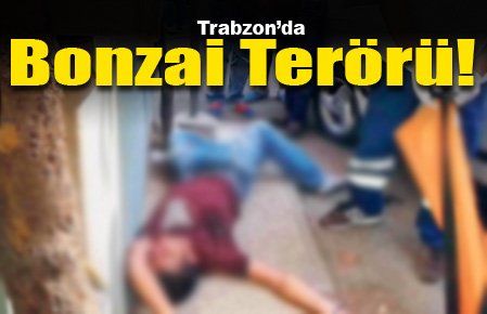 Trabzonda bonzai terr
