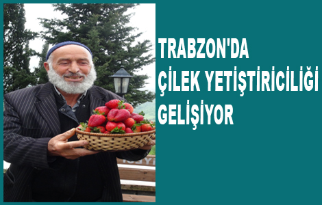 TRABZON'DA LEK YETTRCL GELYOR
