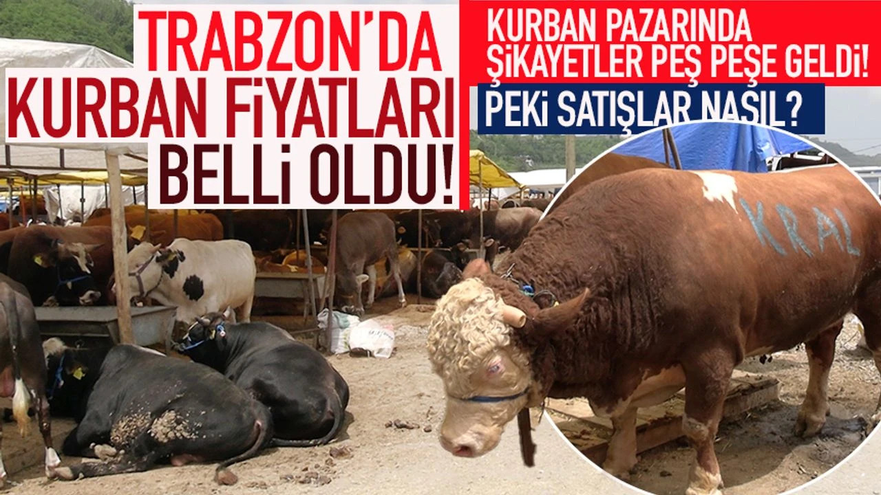 Trabzon'da Kurban Pazarnda fiyatlar belli oldu! ikayetler pe pee geldi...
