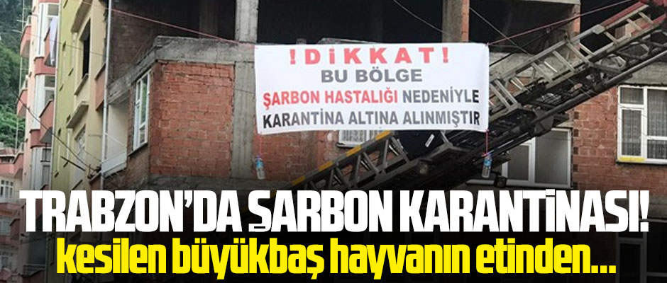 TRABZON'DA ARBON KARANTNASI!