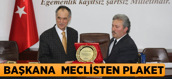 Trkmen'e Meclisten Vafa
