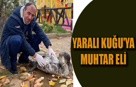 YARALI KUU'YA MUHTAR EL