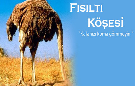 Yerel seçimlerde hangi belediye başkanları yeniden başvuru yaptı?..