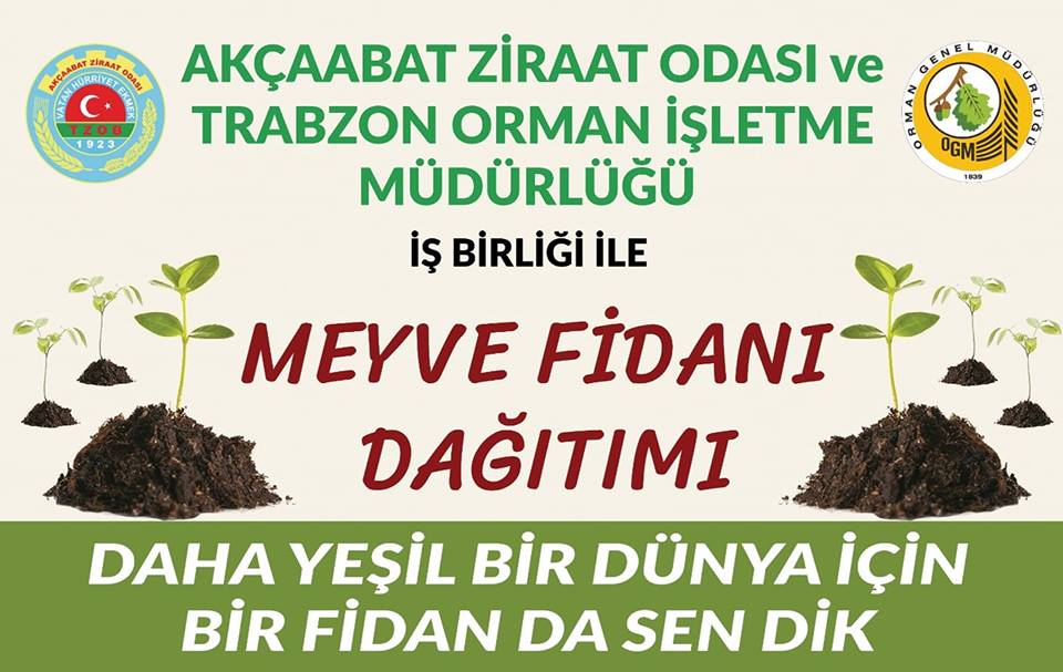 ZRAAT ODASI NCLK EDYOR